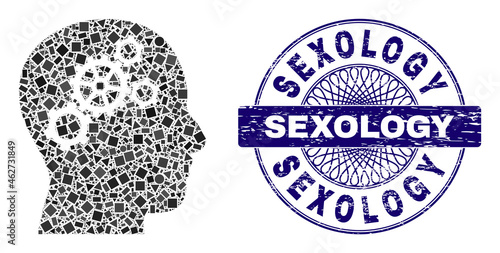 Geometric mosaic brain gears, and Sexology dirty seal. Blue stamp seal includes Sexology tag inside round form. Vector brain gears mosaic is done of randomized round, triangle, rectangle elements.