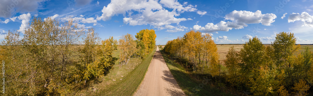 Aerial panoramic view of gravel road running between autumn colored trees and farm fields under a blue sky with white clouds.
