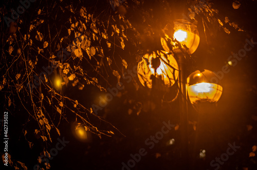 Autumn yellow leaves in the light of a streetlight