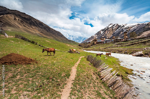 Georgia, Svaneti, Ushguli, Horses grazing along bank ofÔøΩEnguriÔøΩRiver with medieval village in background photo