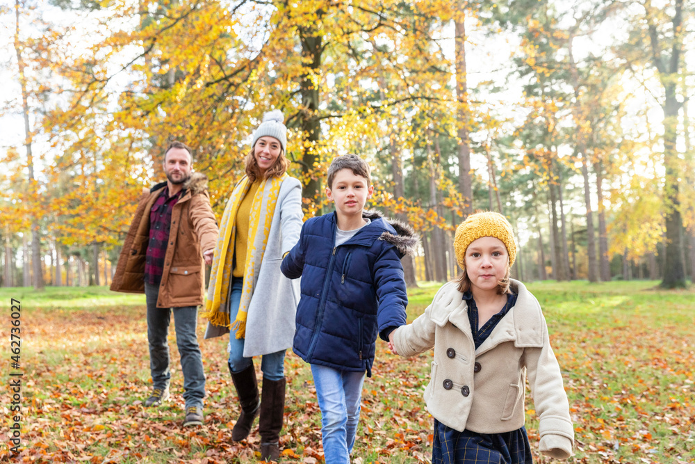 Family holding each other hands while walking in forest Family holding each other hands while walking in forest
