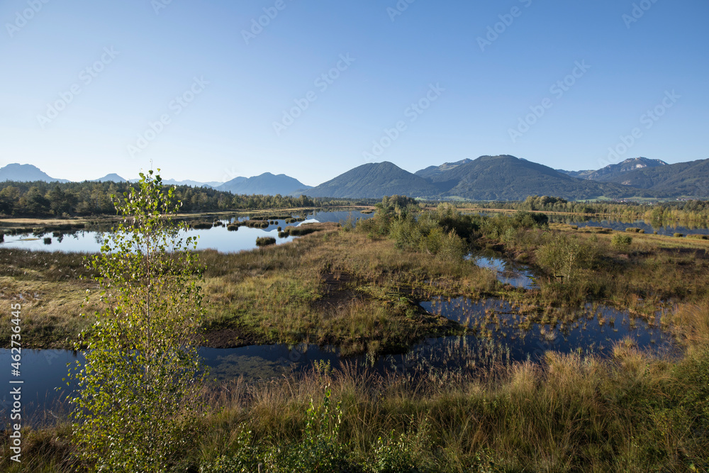 Germany, Bayern, Chiemgau, Moor landscape in front of Alps Germany, Bayern, Chiemgau, Moor landscape in front of Alps