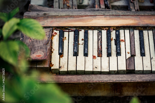 Old broken piano in backyard photo