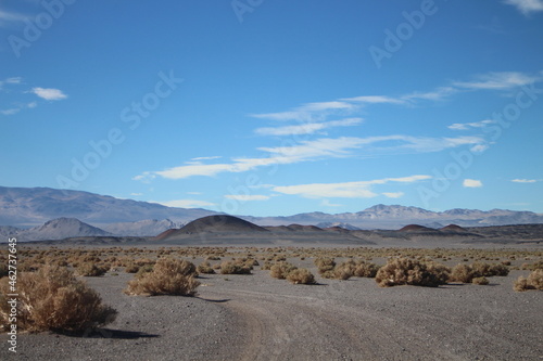 desert landscape of northwestern Argentina