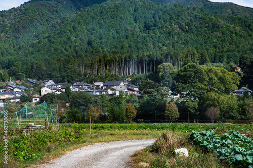 十月 京都大原 里山風景 