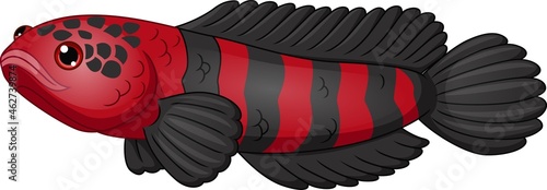 Cartoon red and black fish channa