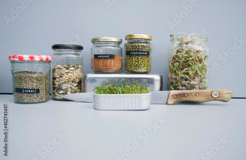 Preserving jars with grains, mung sprouts and cress, home grown sprouts photo