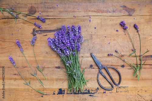 Bunch of lavender (Lavandula angustifolia) on wooden table photo