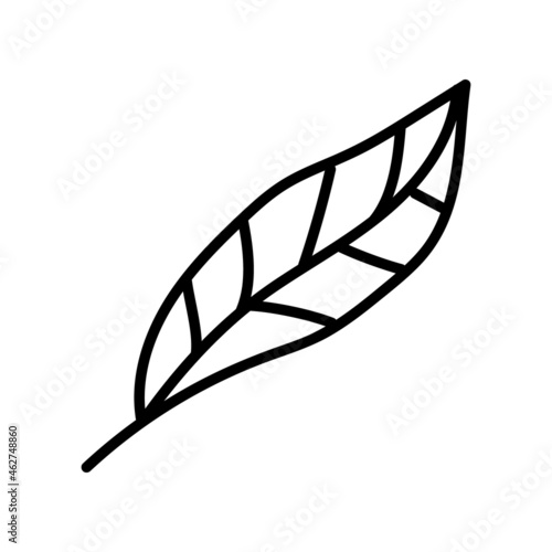 Hand drawn vector doodle illustration, abstract handwriting. Scribbled shape of a leaf
