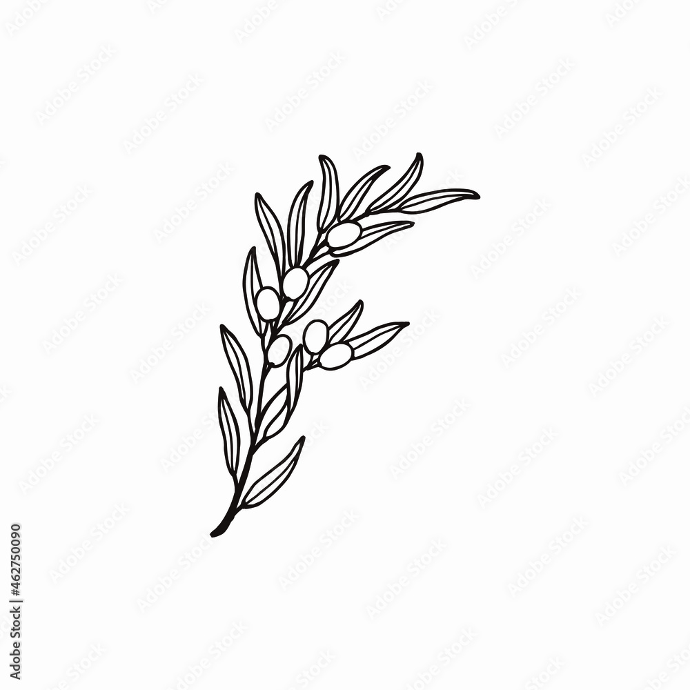 オリーブの枝 オリーブの実 オリーブの葉で表現した アルファベットのf ロゴデザインのためのシンプルな線画 Stock Vector Adobe Stock