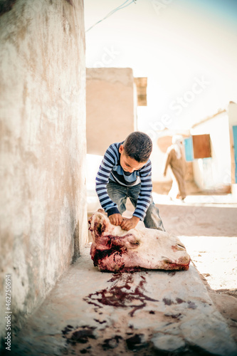 Boy with camel skull, Smara refugee camp, Tindouf, Algeria photo