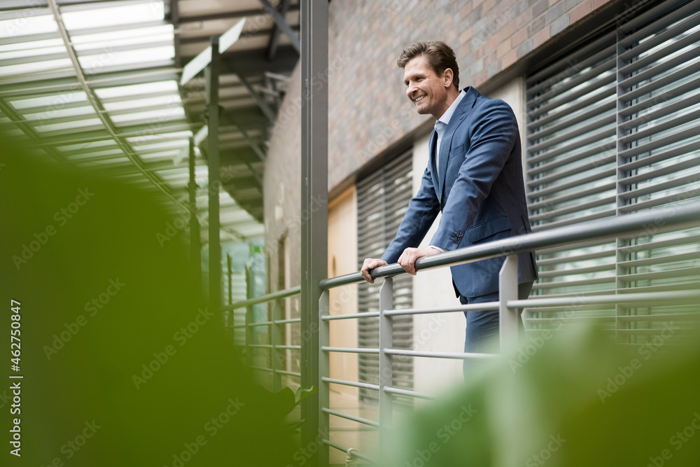 Businessman standing on gallery, smiling Businessman standing on gallery, smiling