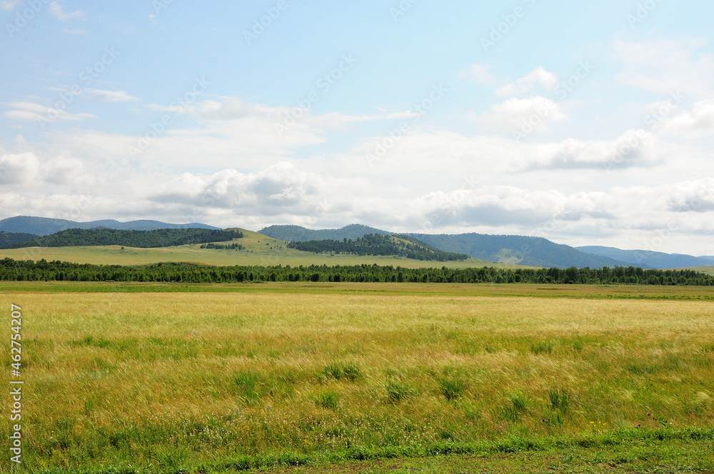 Endless fields at the edge of the forest at the foot of the mountain range on a sunny summer day.