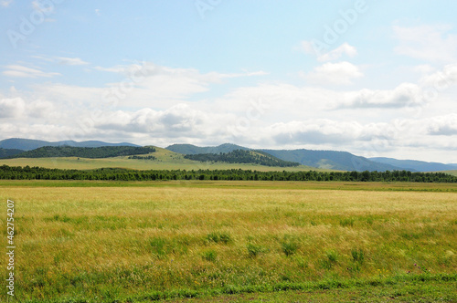 Endless fields at the edge of the forest at the foot of the mountain range on a sunny summer day. © Алексей Желтухин