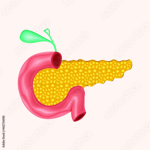 Pancreatitis Anatomy pancreatic cancer infographics vector illustration in cartoon style