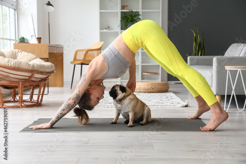 Young woman with cute pug d...