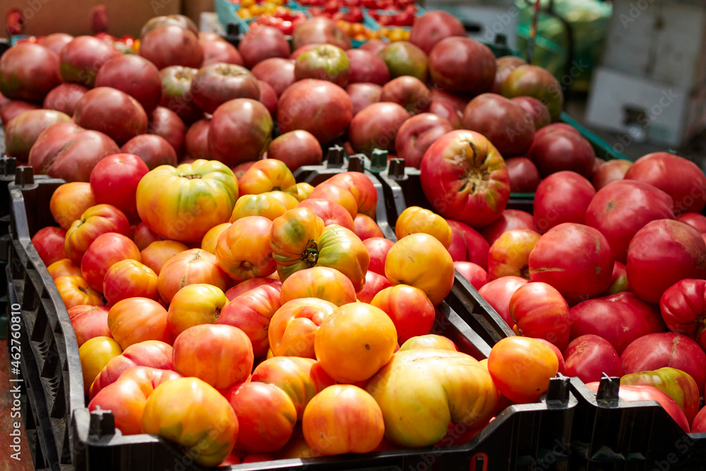 Tomatoes for sale at the Greenmarket in Sunnyside, Queens, New York.
