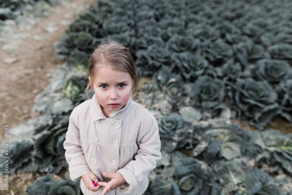 Portrait of a girl standing on a cabbage field Portrait of a girl standing on a cabbage field