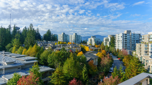 Plentiful trees throughout Univercity Highlands residential community on Burnaby Mountain  BC showing off Fall colours