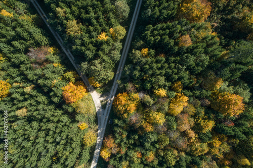 Germany, Baden-Wurttemberg, Heidenheim an der Brenz, Drone view of forked road in autumn forest photo