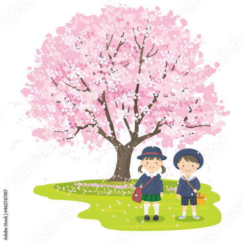 満開の桜の木の前の幼稚園児