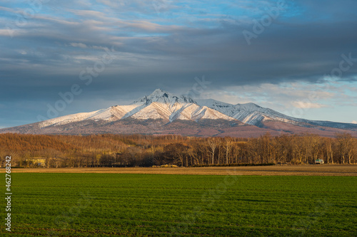 Hokkaido, Shiretoko National Park, Field and snowcapped Mountain