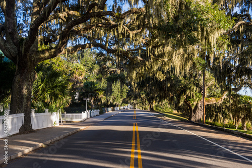 USA, South Carolina, Beaufort, Oak tree alley