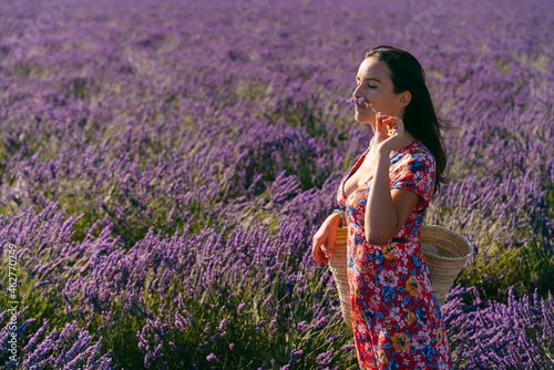 Portrait of beautiful woman smelling lavender blooming in vast countryside field photo
