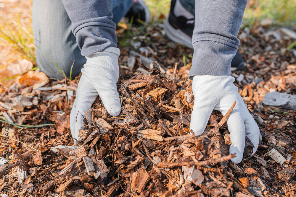 Composting organic waste for soil enrichment