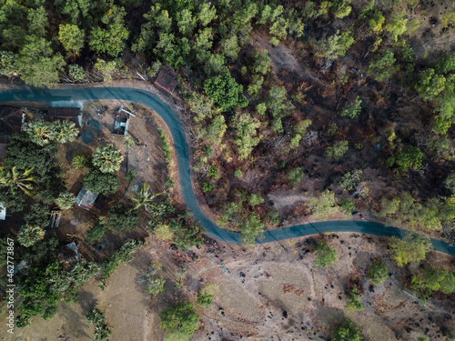 Indonesia, Bali, Tulamben, Road in forest at dry season