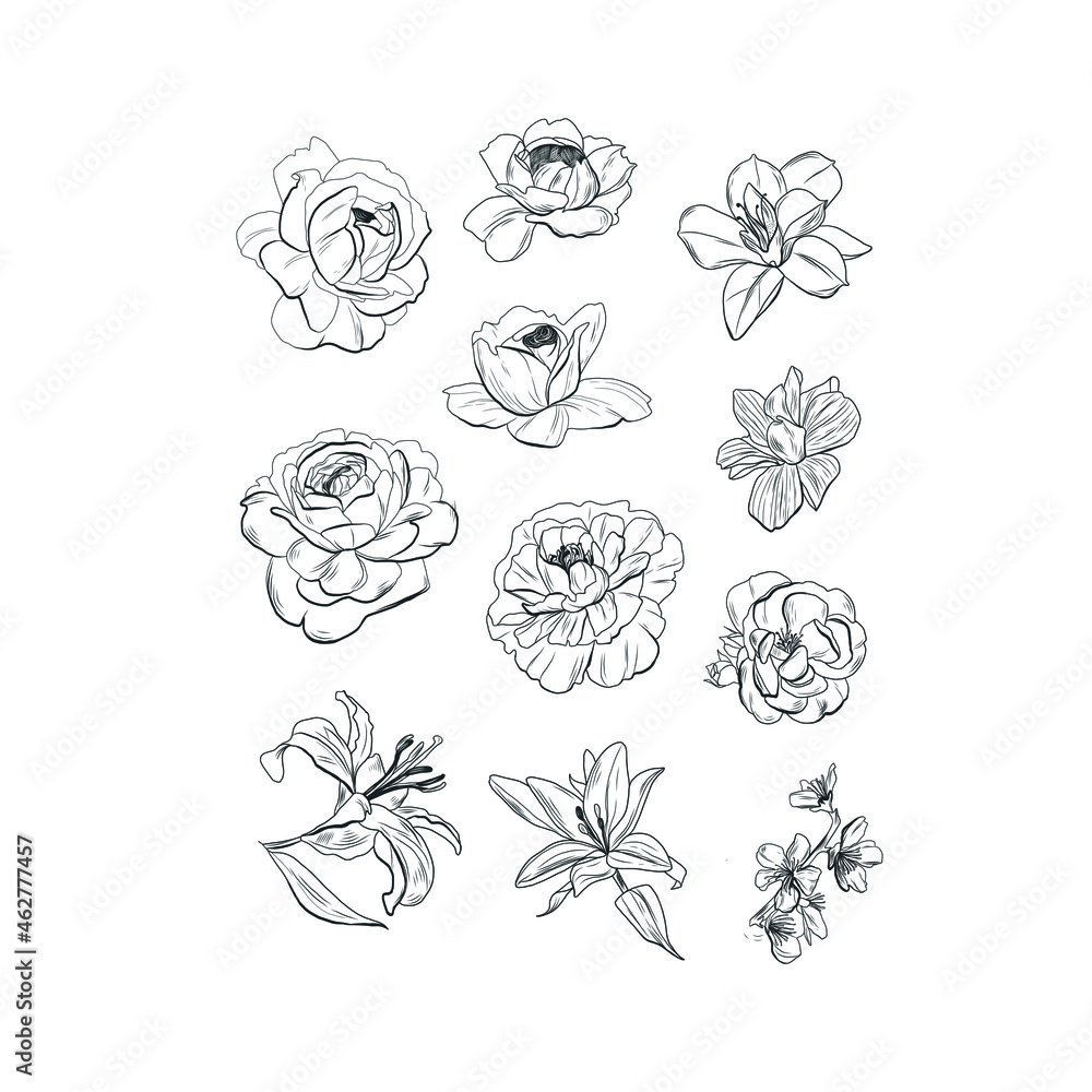 Vintage graphic drawing of flowers. Bud. Flower decoration. Plant elements. Nature design for patter, postcards, printable for clothes. Ink sketch for tattoo. Grange minimalism style. 