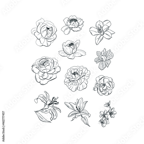 Vintage graphic drawing of flowers. Bud. Flower decoration. Plant elements. Nature design for patter, postcards, printable for clothes. Ink sketch for tattoo. Grange minimalism style. 