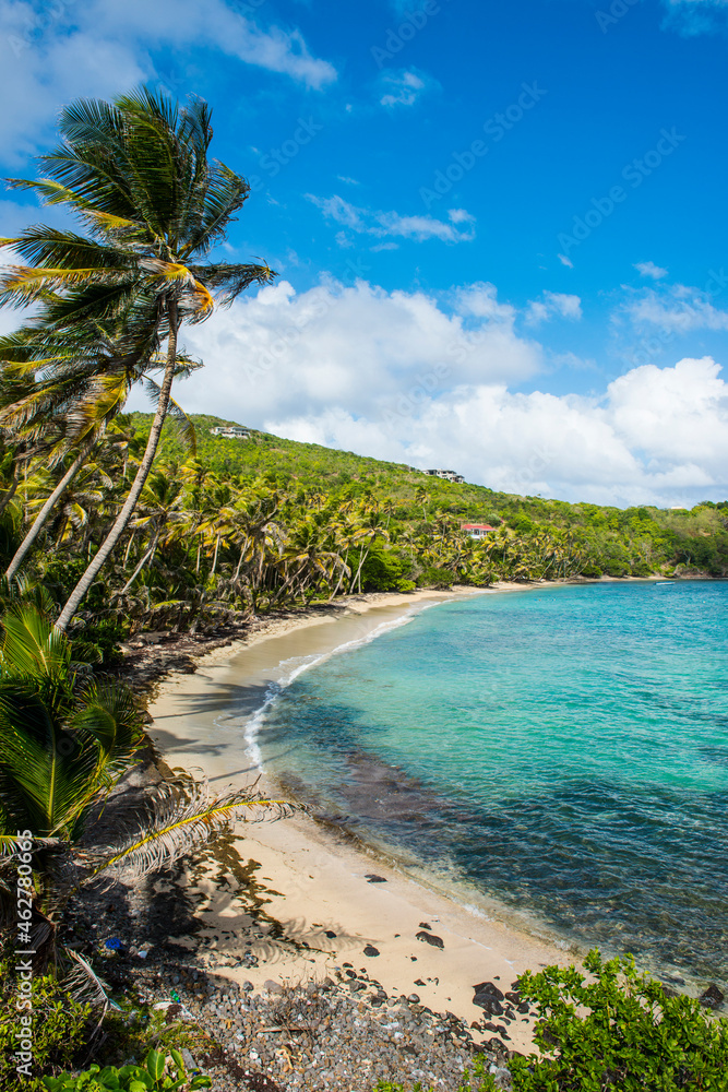 Scenic view of sandy beach at Industry Bay, Bequia, St. Vincent and the Grenadines, Caribbean Scenic view of sandy beach at Industry Bay, Bequia, St. Vincent and the Grenadines, Caribbean