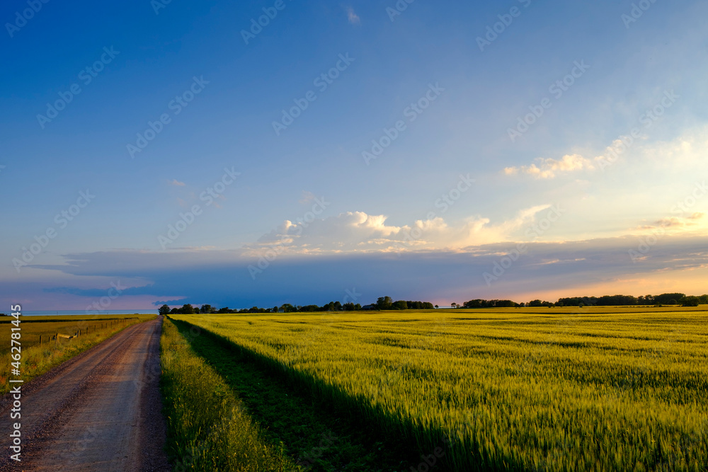 Sunset at Sardal nature reserve, Halland, Sweden Sunset at Sardal nature reserve, Halland, Sweden