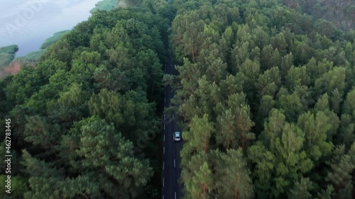 Car driving away in the forest. Kuršių nerija, Juodkrantė, Curonian Spit, Lithuania. photo
