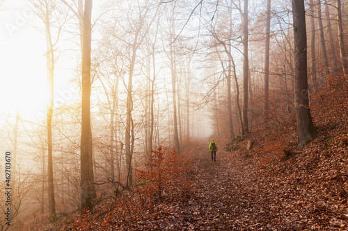 Germany, Rhineland-Palatinate, Lone hiker walking in Palatinate Forest at foggy winter sunrise photo