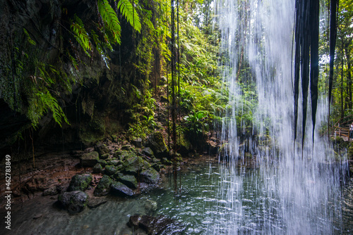 View of waterfall splashing in Emerald Pool at forest, Dominica, Caribbean