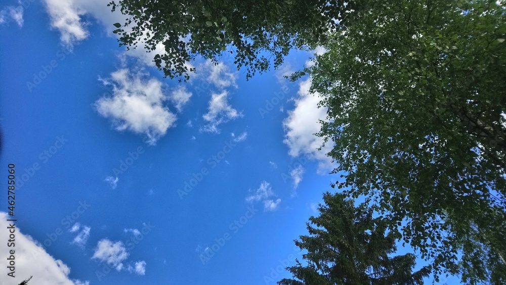 Obraz premium sky and clouds