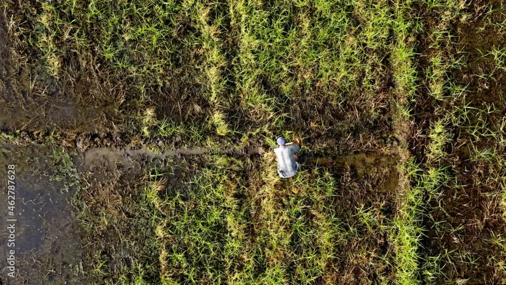 Aerial top-down directly above farmer working land, Dominican Republic. Static view Aerial top-down directly above farmer working land, Dominican Republic. Static view