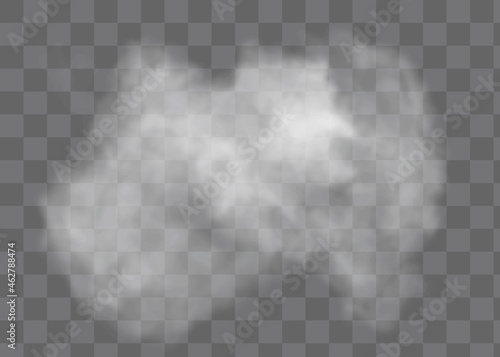 Fog or smoke isolated transparent special effect.Vector illustration.