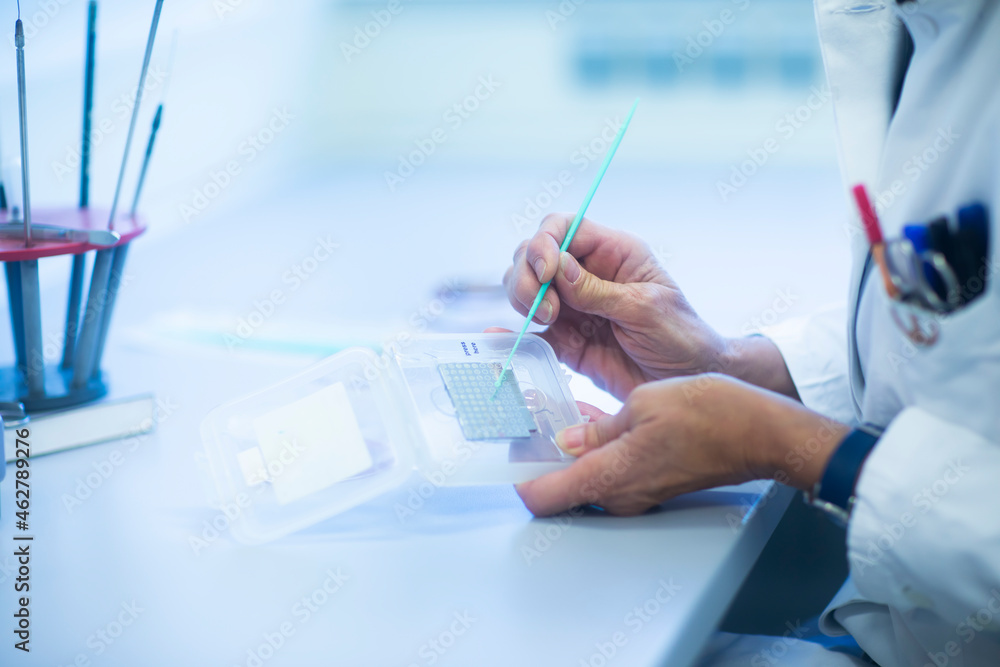 Lab technician preparing sample Lab technician preparing sample