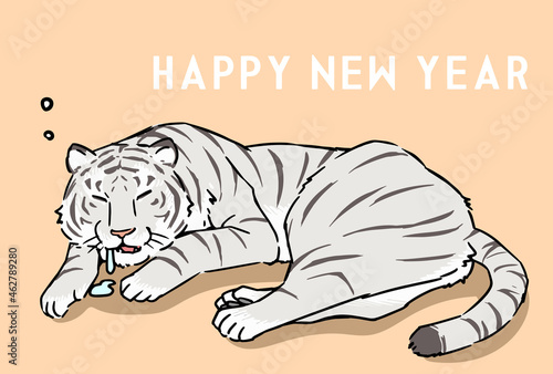 2022年　年賀状_眠る寅