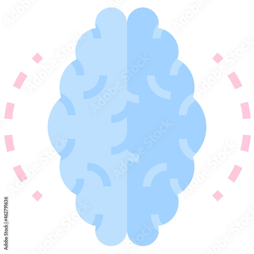 Brain