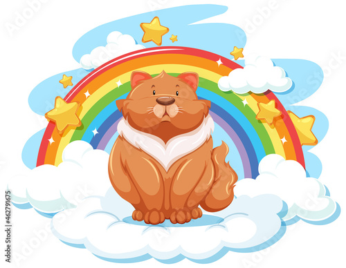 Chubby cat on the cloud with rainbow