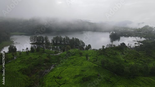 Aerial view of misty landscape forest in Situ Patenggang, Bandung, Indonesia photo