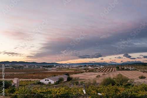 Scenic view of vineyard against sky at sunset photo