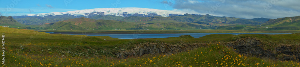 Landscape with puffins at Dyrholaey on the south of Iceland, Europe
