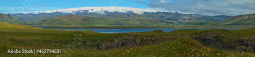 Landscape with puffins at Dyrholaey on the south of Iceland, Europe 