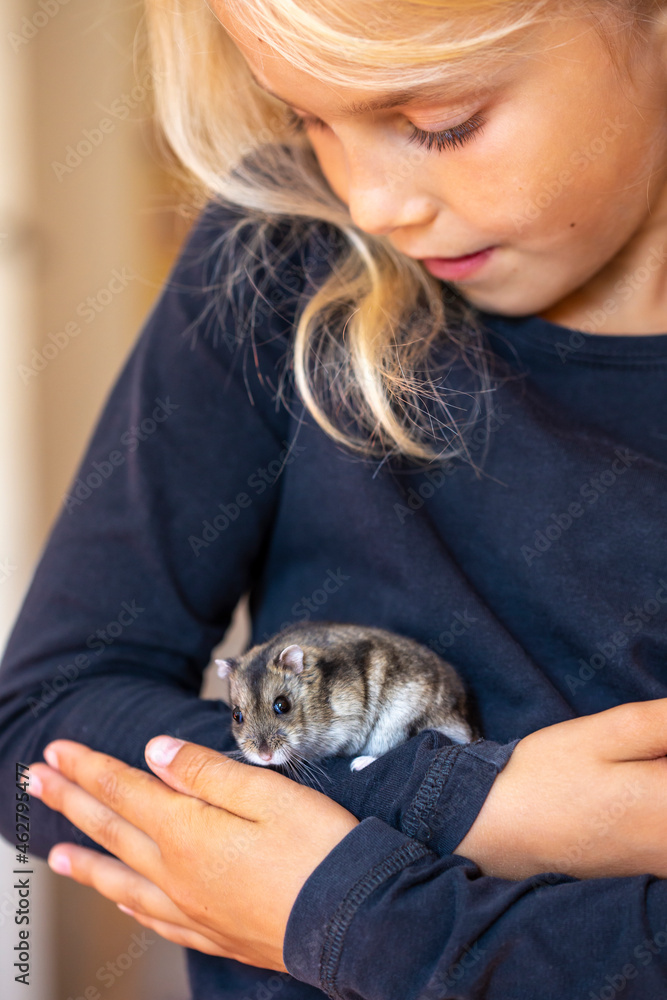 Cute little girl handling hamster with care Cute little girl handling hamster with care