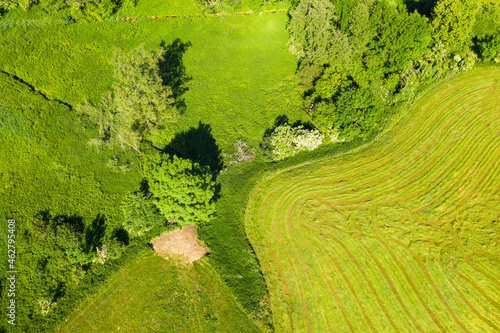 Aerial view of admonished meadow and natural way at Reichersbeuern, Upper Bavaria, Bavaria, Germany photo